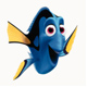 Dory's Avatar